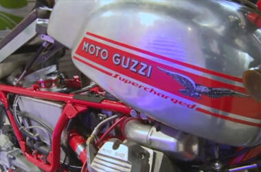 448, Journey of The Haast Eagle